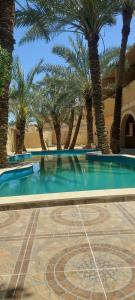a swimming pool with palm trees in a resort at Nour El Waha Hotel in Siwa
