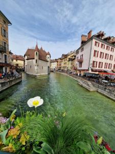 een rivier in een stad met een bloem in het midden bij Chambre d'hôtes Lovagny in Lovagny