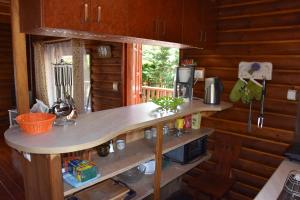 a kitchen with a counter top in a cabin at Klimatyczny domek z łodką nad jeziorem in Dobre Miasto