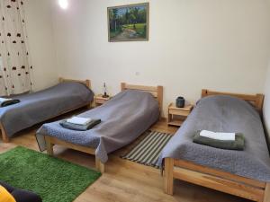 Habitación con 2 camas y alfombra verde. en Magnolia, en Sobolew