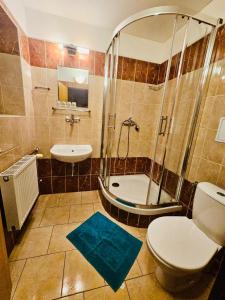 a bathroom with a shower and a toilet and a sink at Bouda Bílé Labe in Špindlerův Mlýn