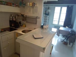 eine Küche mit einer Arbeitsplatte und einem Waschbecken in der Unterkunft L'appartement florentin in Saint-Germain-en-Laye