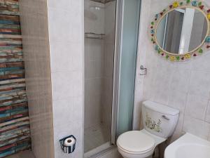 a bathroom with a toilet and a shower with a mirror at Serene on 5 Cologne in Germiston