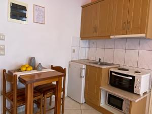Kuchyň nebo kuchyňský kout v ubytování Albatros rooms