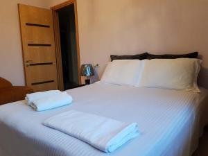 Voodi või voodid majutusasutuse Villa in Tbilisi toas