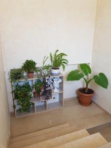 Foto sihtkohas Tbilisi City asuva majutusasutuse Villa in Tbilisi galeriist