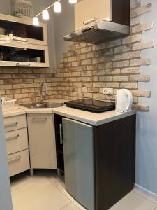 Kuchyň nebo kuchyňský kout v ubytování Domki i Apartamenty El-Piero