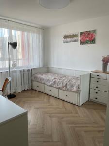 1 dormitorio con 1 cama, vestidor y ventana en Lake apartaments, en Ignalina