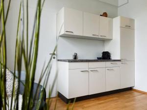 a white kitchen with white cabinets and a plant at Stilvolle, zentrale Wohnung in Graz