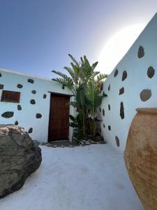 Fotografie z fotogalerie ubytování Finca Exclusiv LA MAreta v destinaci Agaete