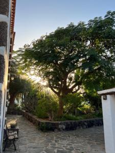 Zahrada ubytování Finca Exclusiv LA MAreta