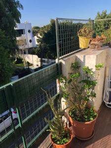 a balcony with two potted plants and a fence at La Lucila in La Lucila