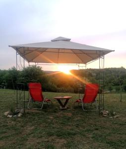 a picnic table and two chairs under a large umbrella at Sunny Side Fruska Gora- Studio A in Velika Remeta