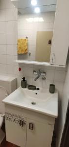 a bathroom with a sink and a mirror and a toilet at Adriatic Escape Apartment in Herceg-Novi +12 photos