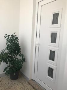 una puerta blanca con una planta al lado en Apartments Komadina, en Selce 12 fotos más