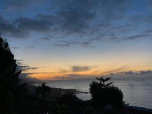 einen Sonnenuntergang über dem Meer mit einer Palme in der Unterkunft Residencial Vista Panoramica in Santa Úrsula