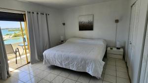 a bedroom with a bed and a view of the ocean at Bayfront Apartment Breathtaking Views- one bedroom w balcony- living room -Free Parking in Miami Beach