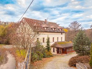 una gran casa blanca en medio de un bosque en Mlýn Mitrovice, en Příbram