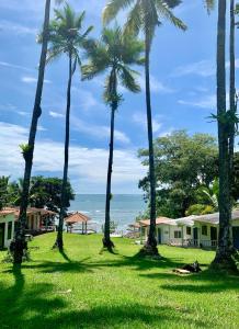un groupe de palmiers dans un champ avec l'océan dans l'établissement Casa Manila, à Santa Catalina