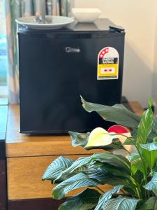 un microondas sentado en un mostrador junto a una planta en Home away from home, en Christchurch