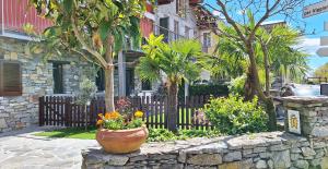 a flower pot on a stone wall in front of a house at Casa Cicala in Trarego