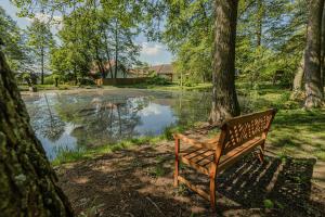 a bench sitting in front of a pond at Chalupa u rybníka pod Blaníkem in Postupice