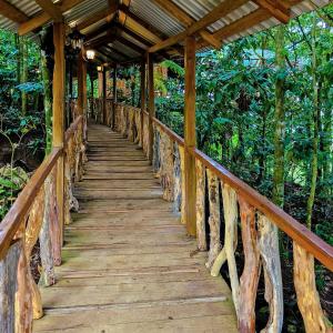 a wooden bridge in the middle of a forest at Refugio del Bosque CABAÑAS Y GLAMPING in Guácimo