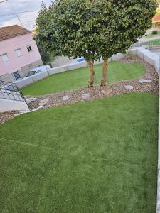 un césped verde con un árbol en el medio en Casa da Fonte en Seia