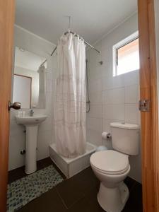 a bathroom with a toilet and a sink at hostal el glaciar in Refugio Lo Valdés