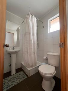 a bathroom with a toilet and a sink at hostal el glaciar in Lo Valdés