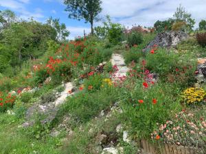 - un jardin avec des fleurs colorées sur une colline dans l'établissement Gite au calme à 15 min d'Albi, 7 personnes, à Taïx