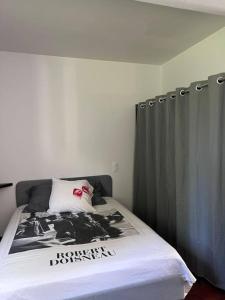 1 dormitorio con 1 cama con cortina negra en Studio aux abords des étangs en Milly-sur-Thérain