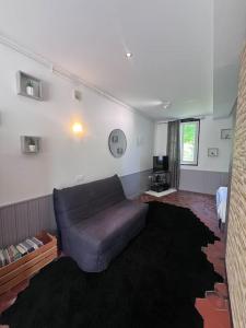 una sala de estar con un sofá púrpura en una habitación en Studio aux abords des étangs en Milly-sur-Thérain