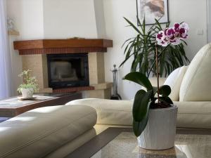 a living room with a couch and a potted plant at Belle Villa avec Piscine proche de Genève in Veigy-Foncenex