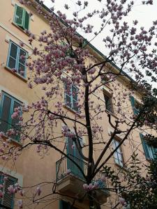 un árbol con flores rosas delante de un edificio en Da Rosa e Pier - Charming central apartment, en Milán