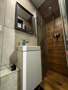 a bathroom with a sink and a shower with a mirror at Studio przy Rynku - self check in in Opole