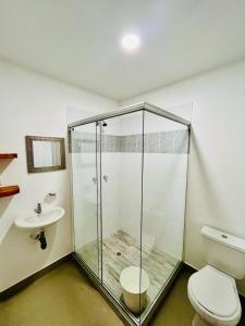 a bathroom with a shower and a toilet and a sink at HOSPEDAJE BOGOTA CENTRO in Bogotá +30 photos