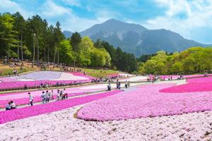 a group of people walking around a field of pink flowers at Ryokan Hiyoshi in Chichibu