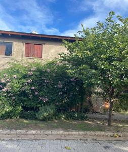 una casa con un árbol y flores delante de ella en Lunas de Spilimbergo en Córdoba