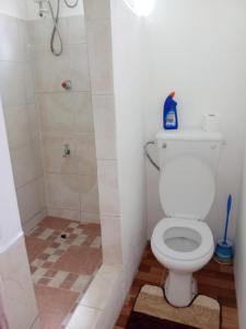 y baño con aseo y ducha. en Impeccable 2-Bed House in St Patrick's, en Celeste