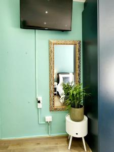 a mirror on a blue wall with a potted plant at Kelvin Maison's Haven in Johannesburg