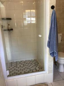 a bathroom with a shower with a toilet and a towel at Rosewood Cottage Apartment in Himeville
