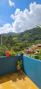 balkon z kwiatami na niebieskiej ścianie w obiekcie Entre Cantos - Hospedaje Rural w mieście Ibagué