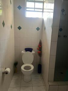 Een badkamer bij Morelove Hideaway in Grande Riviere