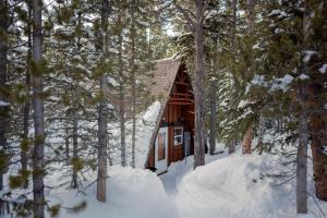 A-Frame Cabin - Mountain Views, Deck, Pet Friendly pozimi