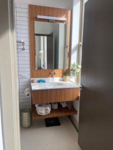 a bathroom with a sink and a mirror at LITTLE HAVEN in Newark