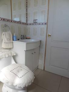 a white bathroom with a sink and a toilet at Cabañas el mirador de Rio Claro in Río Claro