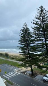dos árboles en un estacionamiento al lado de una calle en Ocean Front 2Bed - Unbeatable Views @ Sanderling! en Gold Coast
