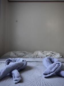 卢纳将军城Rose Homestay, near Cloud9, Tourism Road and Surfing spots的卧室里有一张铺着蓝色毯子的床 更多51张照片