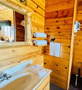 ein Bad mit einem Waschbecken und einem Spiegel in der Unterkunft Badlands Frontier Cabins in Wall